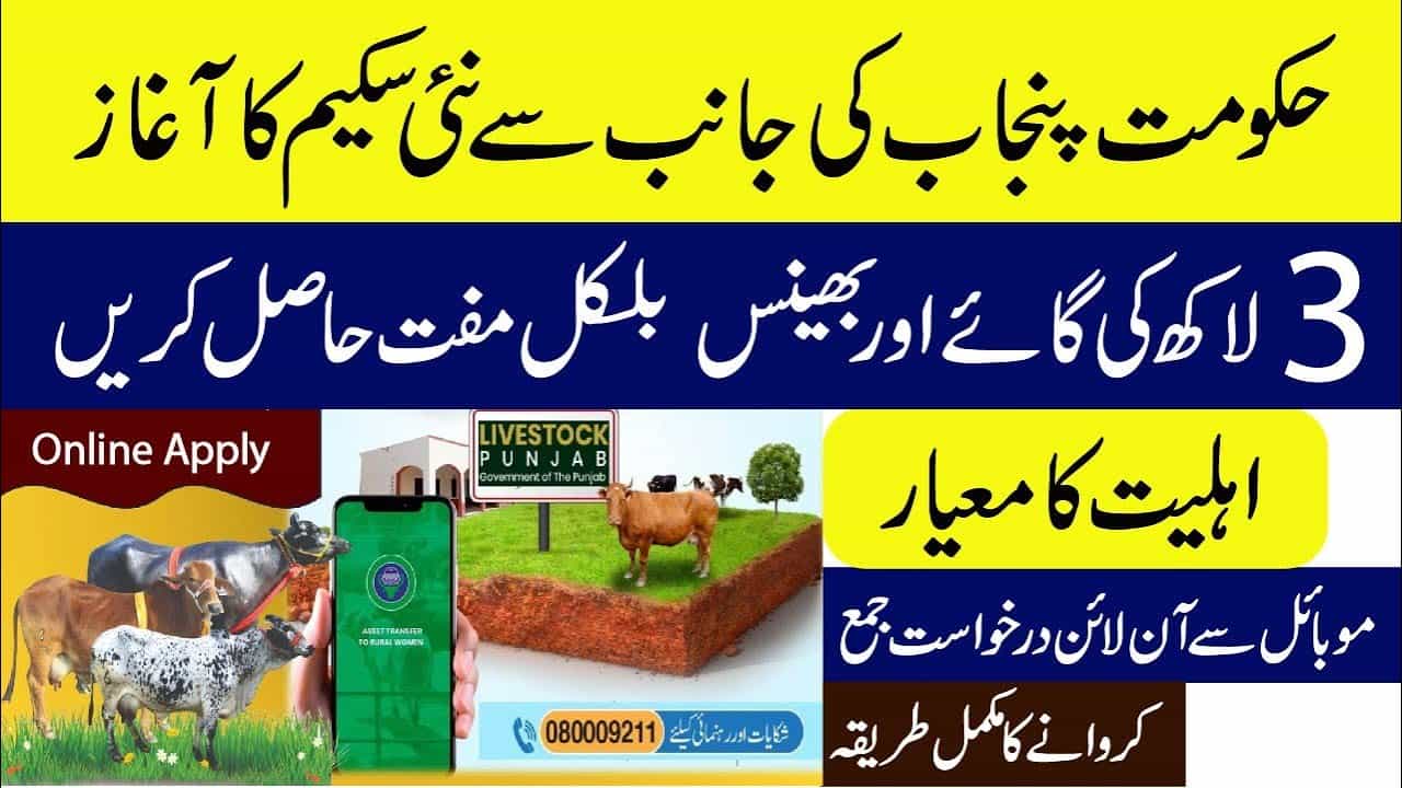 Livestock Asset Transfer to Rural Women Scheme 2025