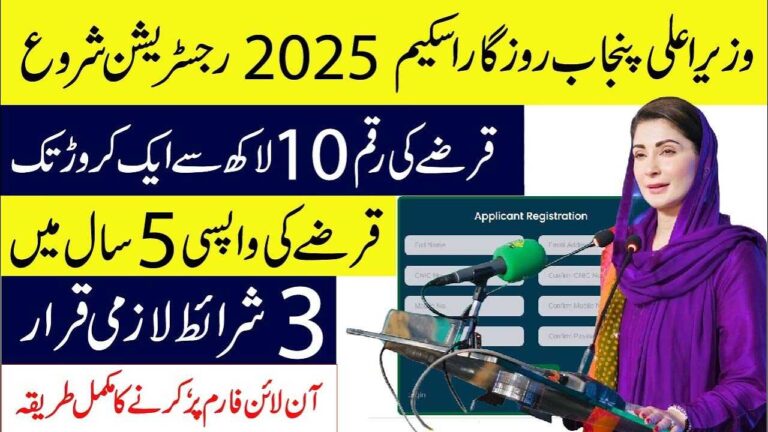 CM Punjab Asaan Karobar Finance 2025