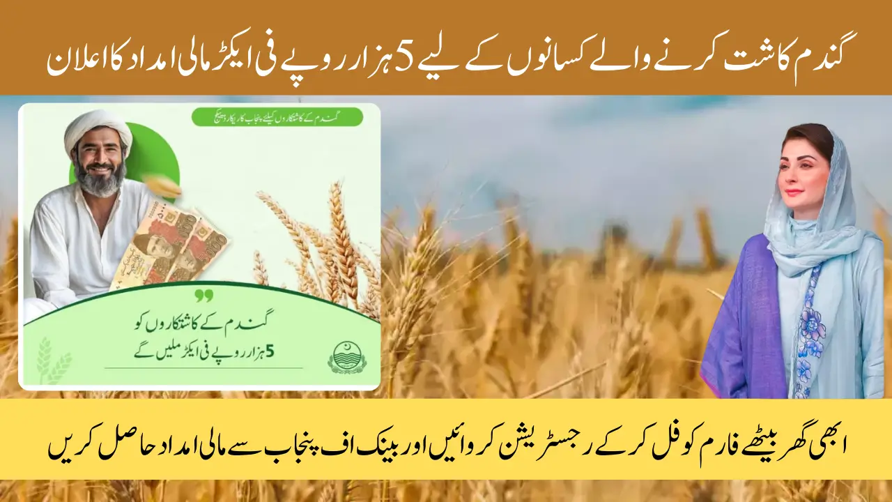 Wheat Support Program 2025