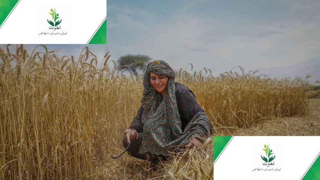 Akhuwat Community Development Program