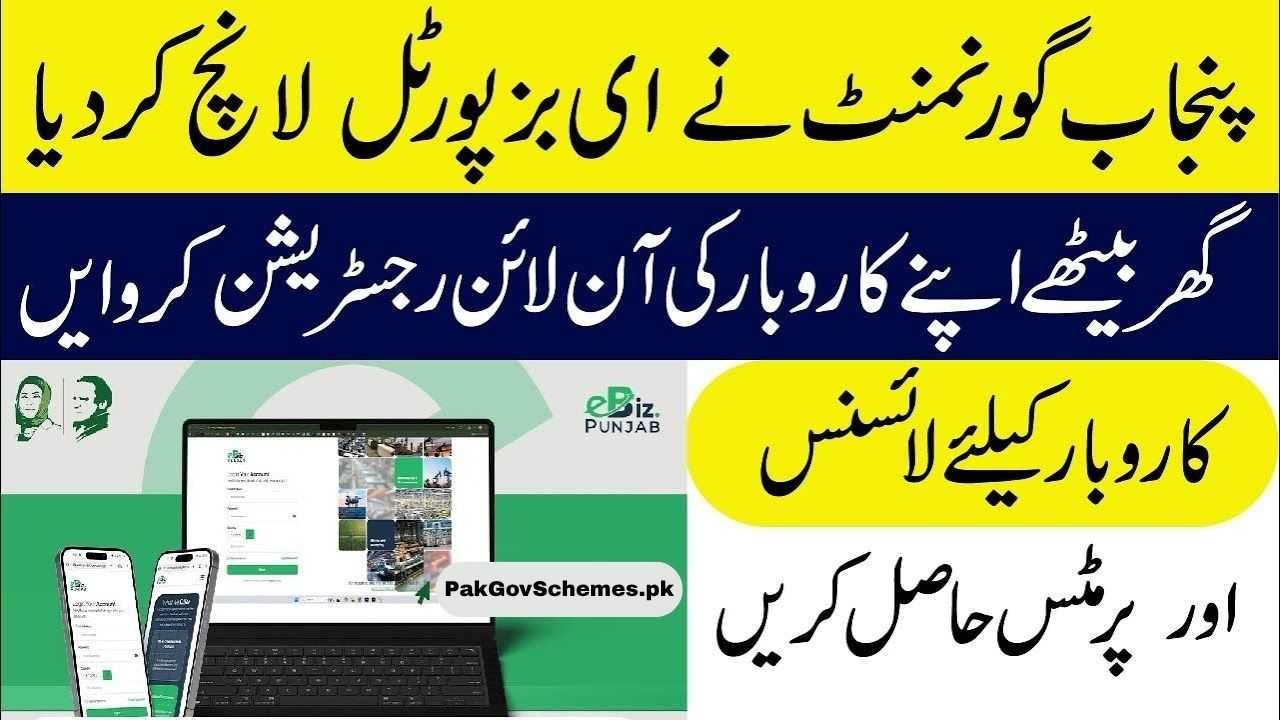 eBiz Punjab Portal