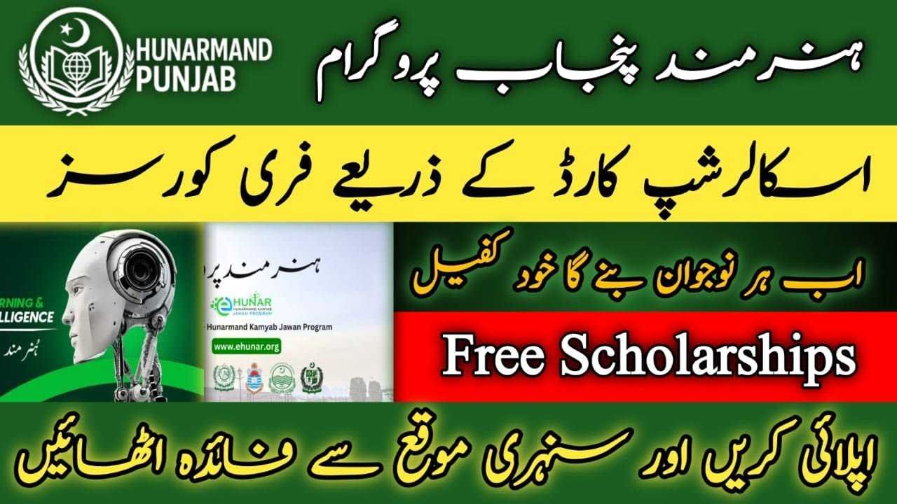 Hunarmand Punjab Program