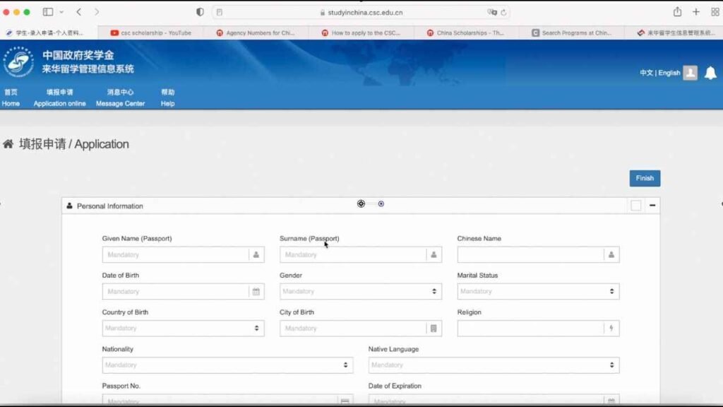 Chinese Government Scholarship