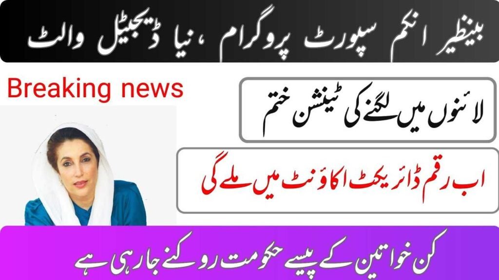 BISP 8171 Social Protection Wallets