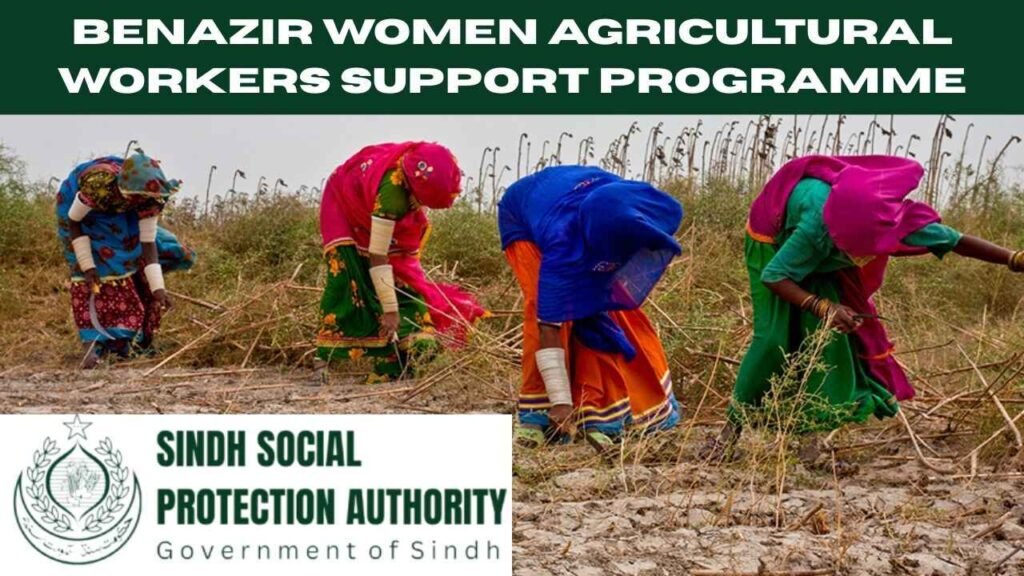 Sindh Social Protection Authority